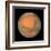 Mars Close Approach 2007, HST Image-null-Framed Premium Photographic Print