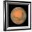 Mars Close Approach 2007, HST Image-null-Framed Premium Photographic Print