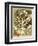 Mars Disturbed-Marcel Capy-Framed Premium Giclee Print