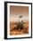 Mars Exploration Rover-null-Framed Photographic Print