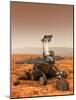 Mars Exploration Rover-null-Mounted Photographic Print