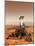 Mars Exploration Rover-null-Mounted Photographic Print