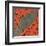 Mars Tied Down-Erich Schilling-Framed Art Print