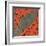 Mars Tied Down-Erich Schilling-Framed Art Print