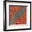 Mars Tied Down-Erich Schilling-Framed Art Print