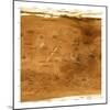 Mars Topographical Map, Satellite Image-Detlev Van Ravenswaay-Mounted Premium Photographic Print