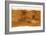 Mars Topographical Map, Satellite Image-Detlev Van Ravenswaay-Framed Photographic Print