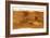 Mars Topographical Map, Satellite Image-Detlev Van Ravenswaay-Framed Photographic Print