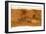 Mars Topographical Map, Satellite Image-Detlev Van Ravenswaay-Framed Photographic Print