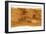 Mars Topographical Map, Satellite Image-Detlev Van Ravenswaay-Framed Photographic Print