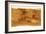 Mars Topographical Map, Satellite Image-Detlev Van Ravenswaay-Framed Photographic Print