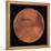 Mars-Stocktrek Images-Framed Premier Image Canvas