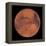 Mars-Stocktrek Images-Framed Premier Image Canvas