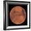 Mars-Stocktrek Images-Framed Photographic Print