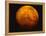 Mars-Stocktrek Images-Framed Premier Image Canvas