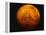 Mars-Stocktrek Images-Framed Premier Image Canvas