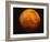 Mars-Stocktrek Images-Framed Photographic Print