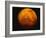 Mars-Stocktrek Images-Framed Photographic Print