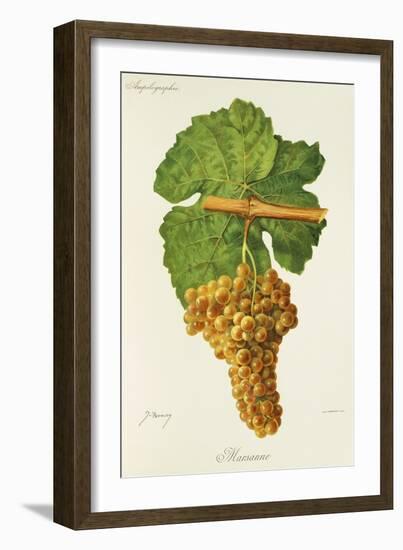 Marsanne Grape-J. Troncy-Framed Giclee Print