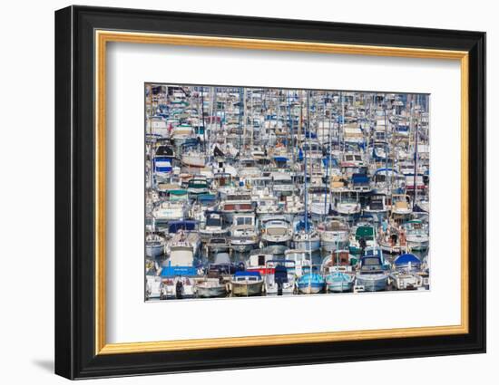 Marseille, Provence-Alpes-Cote d'Azur, France. Multitude of different leisure craft in the Vieux...-null-Framed Photographic Print