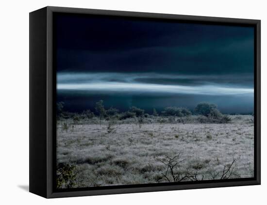Marsh at Dawn-null-Framed Premier Image Canvas