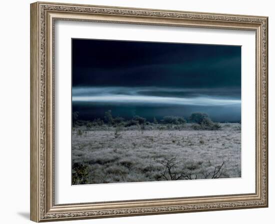 Marsh at Dawn-null-Framed Photographic Print