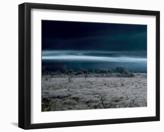Marsh at Dawn-null-Framed Photographic Print