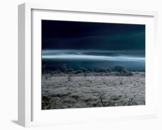 Marsh at Dawn-null-Framed Photographic Print