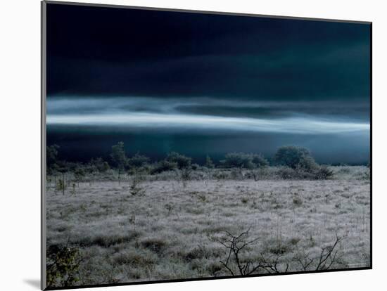 Marsh at Dawn-null-Mounted Photographic Print