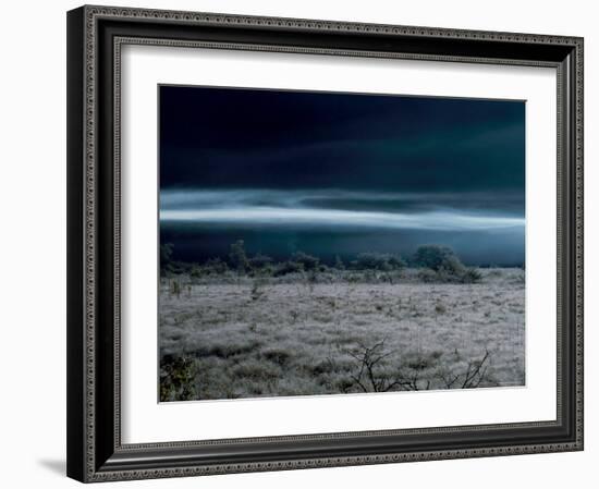 Marsh at Dawn-null-Framed Photographic Print