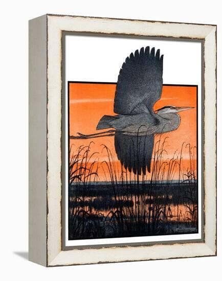 "Marsh Bird,"October 3, 1925-Paul Bransom-Framed Premier Image Canvas