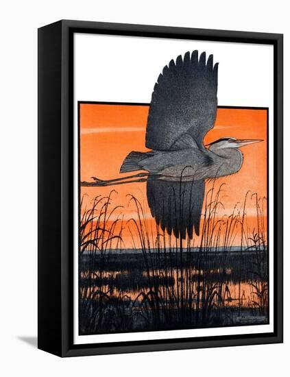 "Marsh Bird,"October 3, 1925-Paul Bransom-Framed Premier Image Canvas