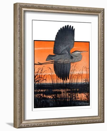 "Marsh Bird,"October 3, 1925-Paul Bransom-Framed Giclee Print