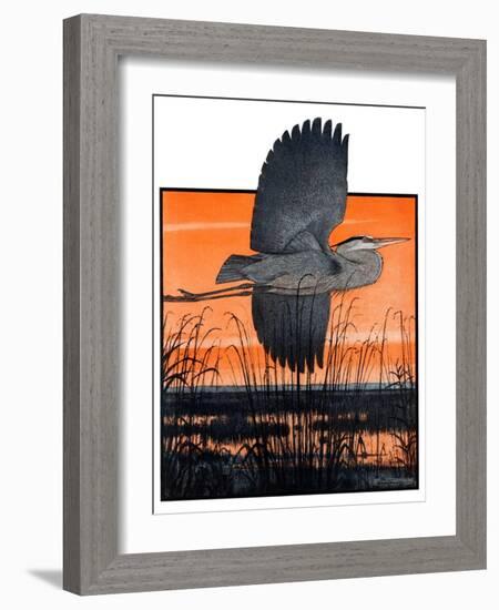 "Marsh Bird,"October 3, 1925-Paul Bransom-Framed Giclee Print