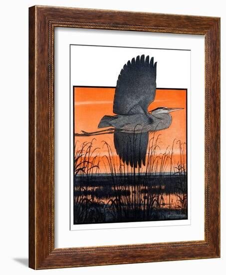 "Marsh Bird,"October 3, 1925-Paul Bransom-Framed Giclee Print