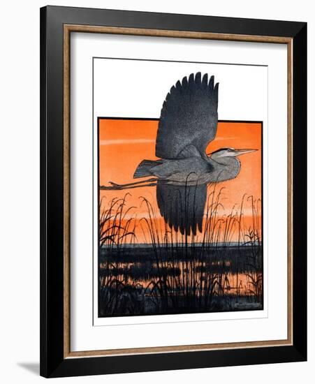 "Marsh Bird,"October 3, 1925-Paul Bransom-Framed Giclee Print