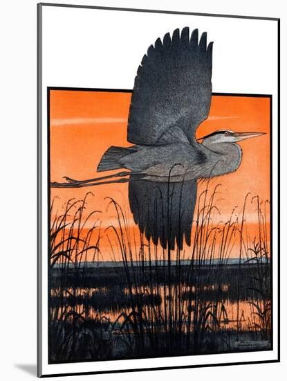 "Marsh Bird,"October 3, 1925-Paul Bransom-Mounted Giclee Print