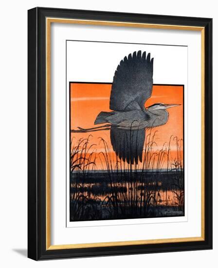 "Marsh Bird,"October 3, 1925-Paul Bransom-Framed Giclee Print