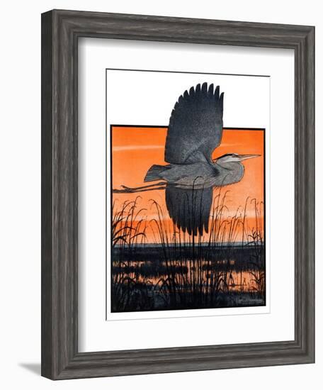 "Marsh Bird,"October 3, 1925-Paul Bransom-Framed Giclee Print