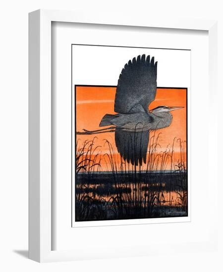 "Marsh Bird,"October 3, 1925-Paul Bransom-Framed Giclee Print