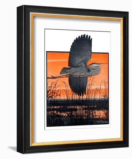 "Marsh Bird,"October 3, 1925-Paul Bransom-Framed Giclee Print