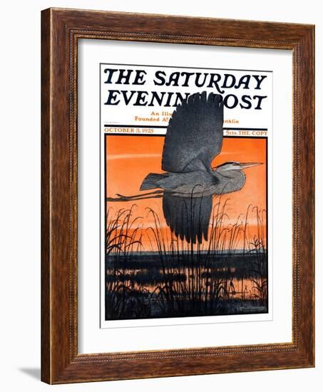 "Marsh Bird," Saturday Evening Post Cover, October 3, 1925-Paul Bransom-Framed Giclee Print
