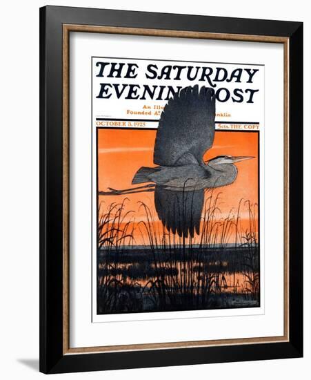 "Marsh Bird," Saturday Evening Post Cover, October 3, 1925-Paul Bransom-Framed Giclee Print