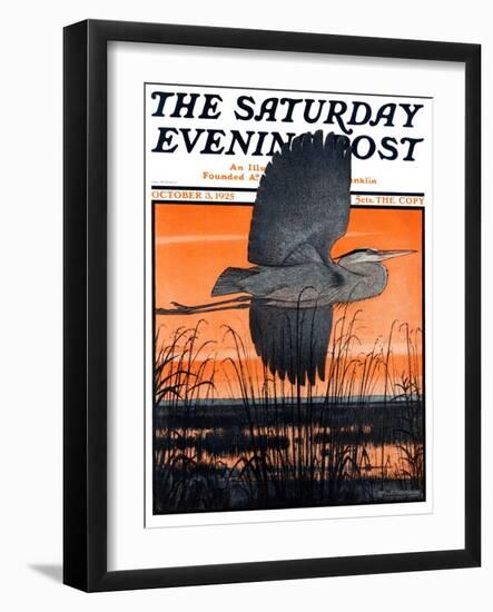 "Marsh Bird," Saturday Evening Post Cover, October 3, 1925-Paul Bransom-Framed Giclee Print
