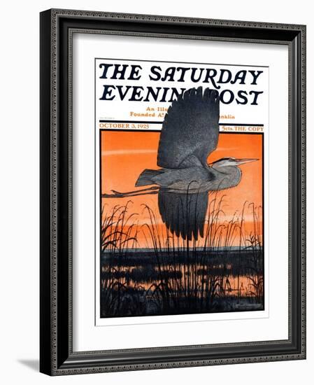 "Marsh Bird," Saturday Evening Post Cover, October 3, 1925-Paul Bransom-Framed Giclee Print