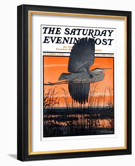 "Marsh Bird," Saturday Evening Post Cover, October 3, 1925-Paul Bransom-Framed Giclee Print