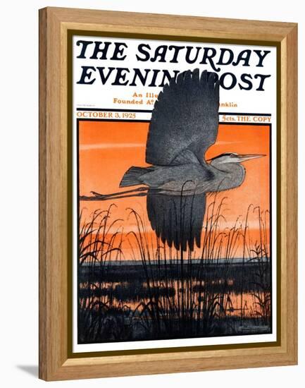 "Marsh Bird," Saturday Evening Post Cover, October 3, 1925-Paul Bransom-Framed Premier Image Canvas