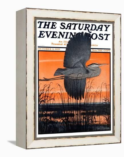 "Marsh Bird," Saturday Evening Post Cover, October 3, 1925-Paul Bransom-Framed Premier Image Canvas