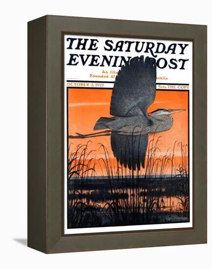 "Marsh Bird," Saturday Evening Post Cover, October 3, 1925-Paul Bransom-Framed Premier Image Canvas