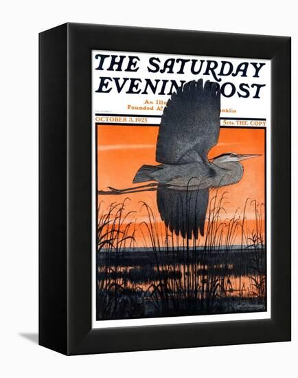 "Marsh Bird," Saturday Evening Post Cover, October 3, 1925-Paul Bransom-Framed Premier Image Canvas